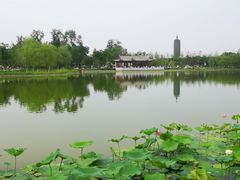 -西海子公园