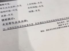 -伟伟宠物医院·CT影像中心·瑞派犬猫综合性门诊(汉口总院)