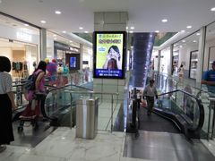 -凯德MALL(望京店)