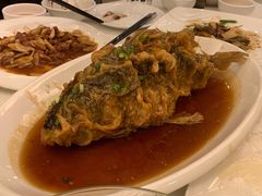 老济南糖醋鲤鱼-金春禧(世茂国际广场店)