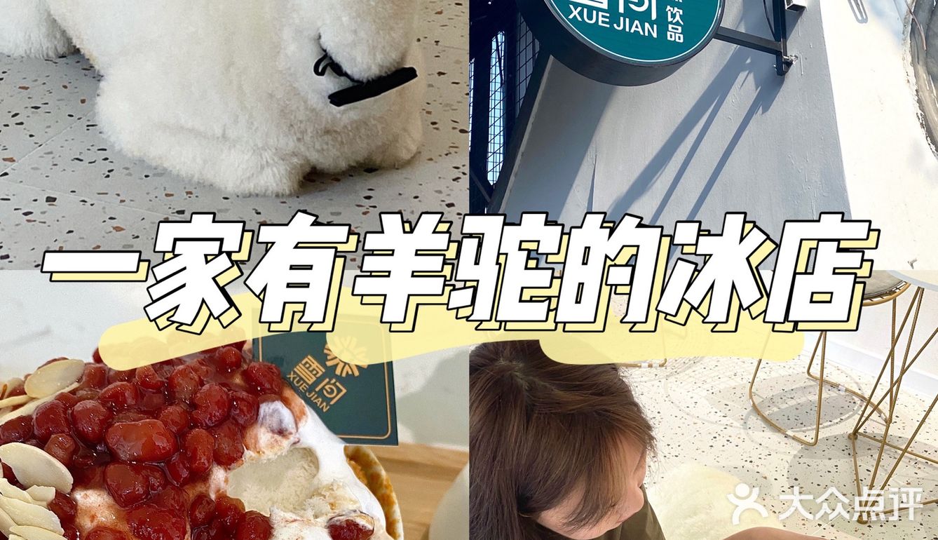 在南阳也可以撸羊驼🦙