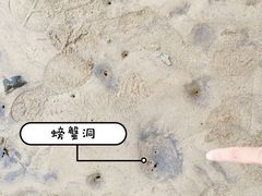 -杨梅坑