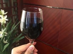 -沈阳于洪碧桂园凤凰酒店