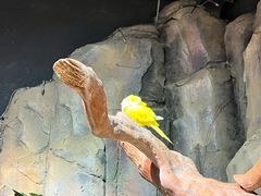 -正佳雨林生态植物园