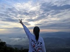 -武陵山森林公园