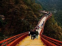 -少华山国家森林公园