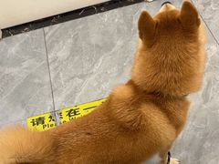 -美联众合爱康动物医院•复杂内科•肿瘤科•牙科•腔镜诊疗中心