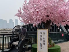 -武汉知音号