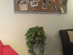 -猫的天空之城概念书店(西塘古镇店)