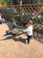 -萌宠亲子动物乐园(槐房万达店)