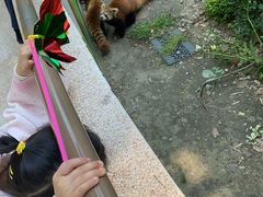 -杭州少年儿童公园