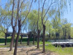 -中关村生命科学园