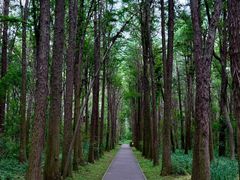 -同里国家湿地公园