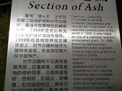 -苏州河梦清园环保主题公园