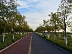 -天津东丽湖风景区