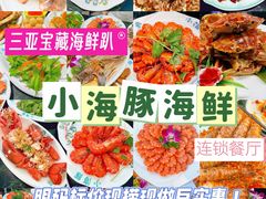 -小海豚·老字号海鲜餐厅(三亚湾店)