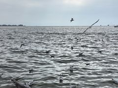 -滇池海埂公园