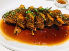老济南糖醋鲤鱼-金春禧·鲁菜海鲜(延吉路万达店)