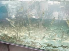 -全乐鱼馆·淳牌有机鱼直营店