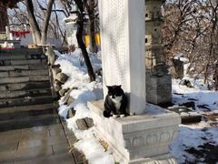 -高尔山公园