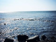 -Cafe Aewol Monsant