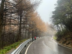 -秦岭风景区