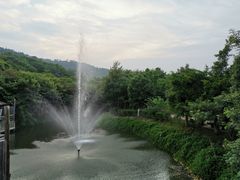 -丹樱生态园