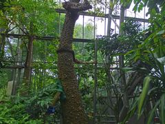-南山植物园