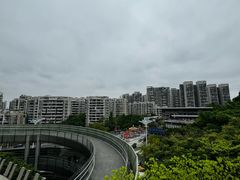 -福道