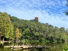 -深圳仙湖植物园