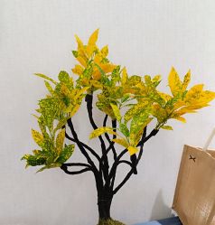 -橙沐普拉提瑜伽