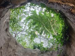 -南山植物园