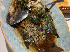 -围龙屋客家食府(福田店)