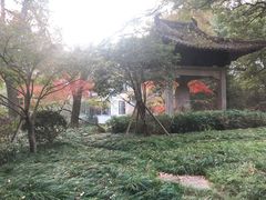 -杭州花家山庄