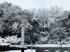-浙江宾馆·花园餐厅·自助餐厅·茶吧