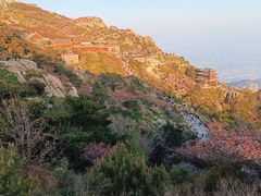 -泰山风景名胜区