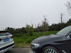 -阳光海岸露营公园