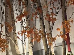 -圣和汤泉•汗蒸温泉自助