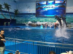 -多彩贵州城极地海洋世界