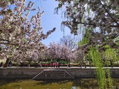 -元大都城垣遗址公园