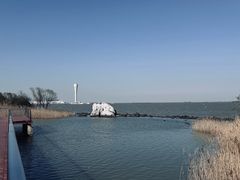 -上海吴淞炮台湾国家湿地公园