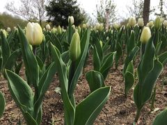 -长春公园(普阳街道)