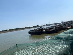 -大湾区中央湿地公园-十九涌