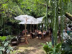 -Fern Forest Cafe