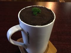 -喵园·猫主题咖啡厅·撸猫·猫咖(国贸店)