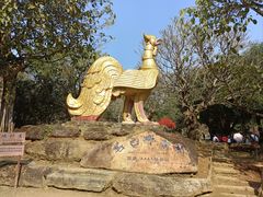 -云南勐巴娜西珍奇园