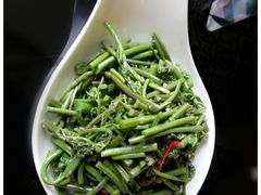 炝拌蕨菜-尹兰楼西北风情餐厅(嘉定店)