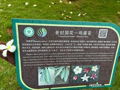 -中国科学院西双版纳热带植物园