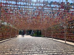 -七彩云南欢乐世界