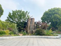 -昆山城市生态森林公园